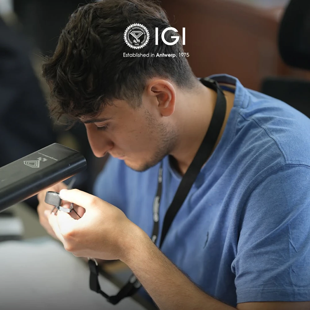 Dream Price IGI Certified Loose Diamond(F-VS2 or better) | Affiliate Partner-Only Deal - Image 10